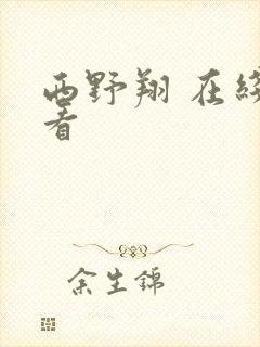 西野翔 在线观看