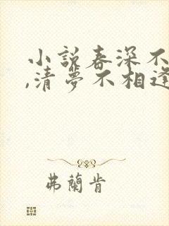 小说春深不归客,清梦不相逢免费阅读