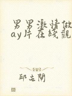 男男激情做爰gay片在线观看封面