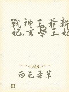 战神王爷新娶王妃,玄学王妃离开封面