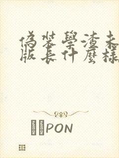 伪装学渣未删减版长什么样