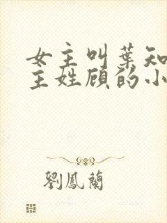 女主叫叶知秋男主姓顾的小说