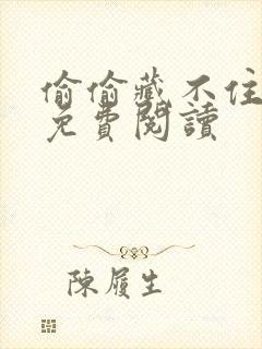 偷偷藏不住小说免费阅读