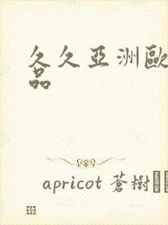 久久亚洲欧美精品