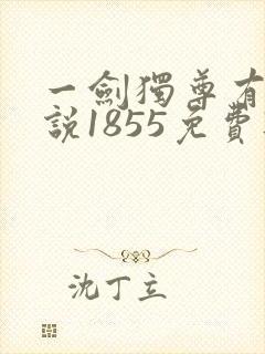一剑独尊有声小说1855免费听