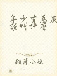 年少有为原著小说叫什么封面