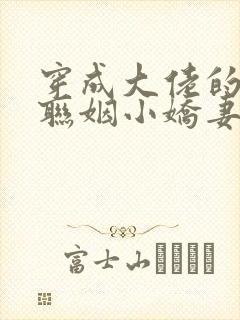 穿成大佬的炮灰联姻小娇妻by公子