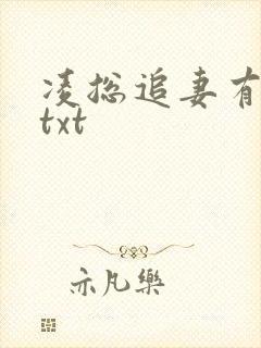 凌总追妻有点甜txt