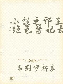 小说之邪王独宠:绝色医妃太逆天封面