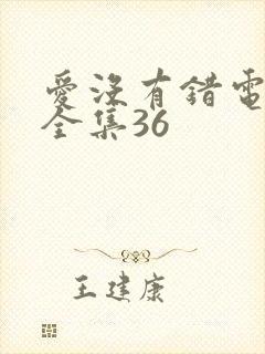 爱没有错电视剧全集36