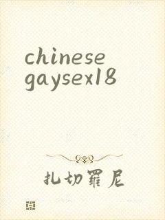 chinesegaysex18封面