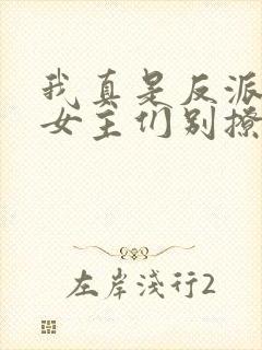 我真是反派啊,女主们别撩我了封面