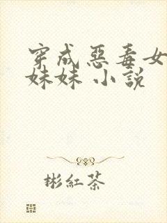 穿成恶毒女配的妹妹 小说