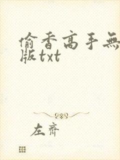 偷香高手无删减版txt封面