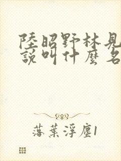 陆昭野林见疏小说叫什么名字
