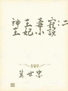 神王毒宠:二嫁王妃小说