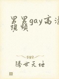 男男gay高清视频