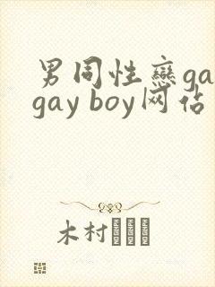 男同性恋gaygay boy网站