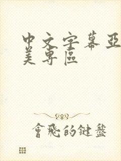 中文字幕亚洲欧美专区