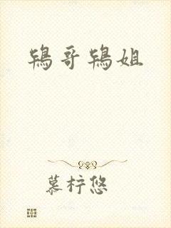 鸨哥鸨姐