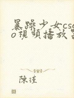 暴躁少女csgo视频播放器推荐