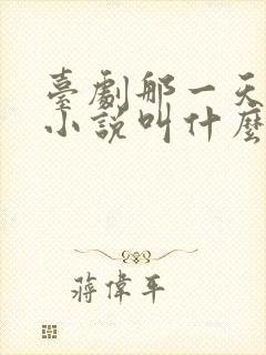 台剧那一天原著小说叫什么封面