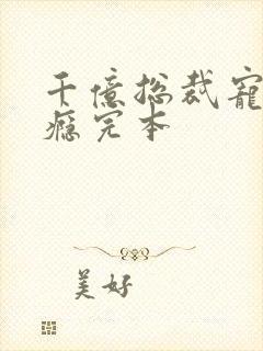 千亿总裁宠妻上瘾完本封面