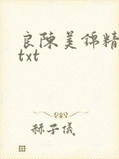 良陈美锦精校版txt封面