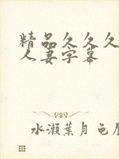 精品久久久中文人妻字幕