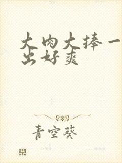 大肉大捧一进一出好爽