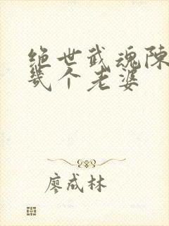 绝世武魂陈枫有几个老婆