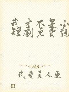 我才不是小可怜短剧免费观看全集