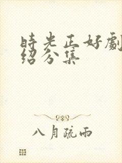 时光正好剧情介绍分集