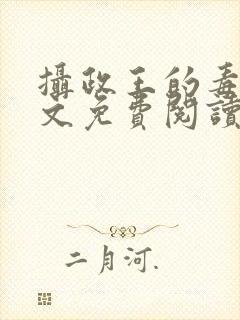 摄政王的毒妃全文免费阅读