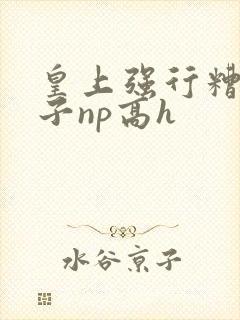 皇上强行糟蹋太子np高h