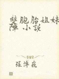 双胞胎姐妹齐上阵 小说