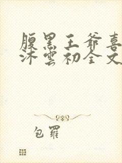 腹黑王爷喜当爹沐云初全文免费阅读封面