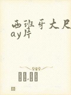 西班牙大尺度gay片