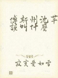 傅斯州沈芊芊小说叫什么