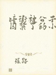 暗卫被公子抓回囚禁了的小说