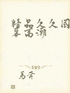 精品久久国产字幕高潮