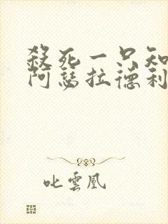 杀死一只知更鸟阿瑟拉德利封面