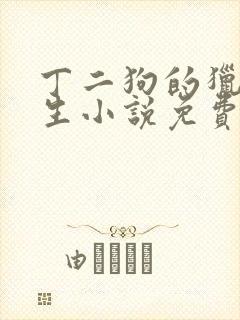 丁二狗的猎艳人生小说免费全文下载