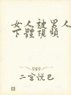 女人被男人插入下体视频