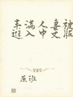 丰满人妻被猛烈进入中文版