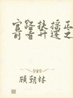 官路扶摇正版超前看升迁之路