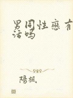 男同性恋有性生活吗