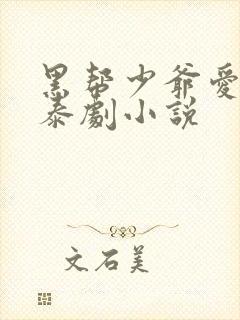 黑帮少爷爱上我泰剧小说