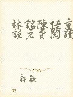 林铭陈佳重生小说免费阅读下载封面