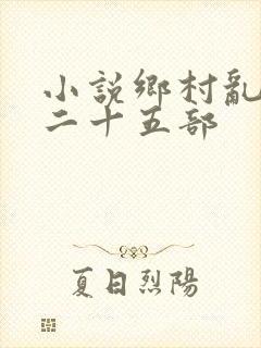 小说乡村乱情第二十五部封面